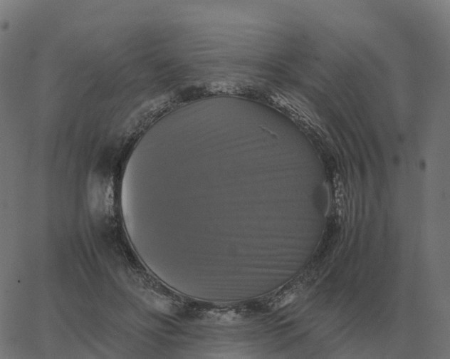 X0000067890502200604271830