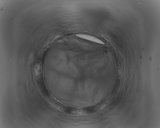 X0000067890503200604271830