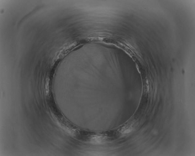 X0000067890504200604271830