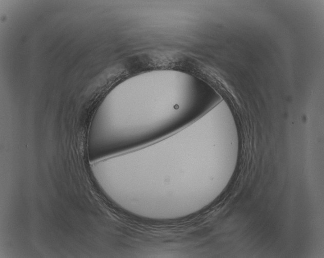 X0000067890505200604271830