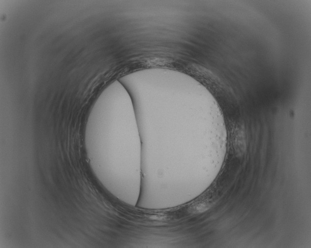 X0000067890506200604271830