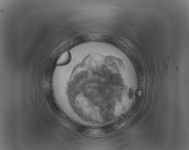 X0000067890507200604271830