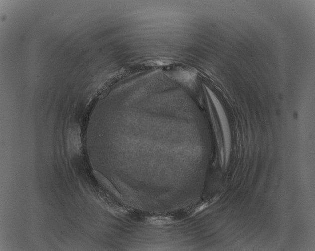 X0000067890508200604271830