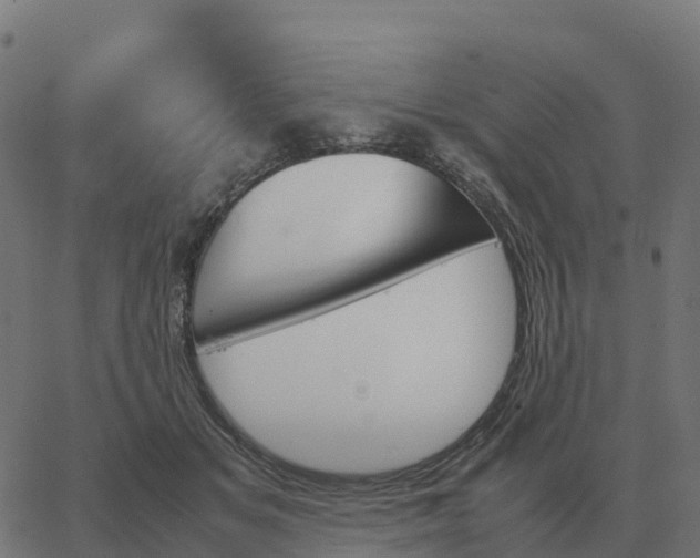 X0000067890509200604271830