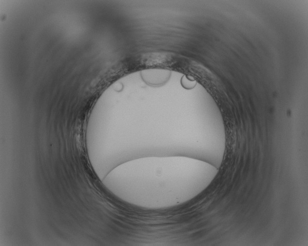 X0000067890510200604271830