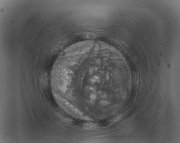 X0000067890511200604271830