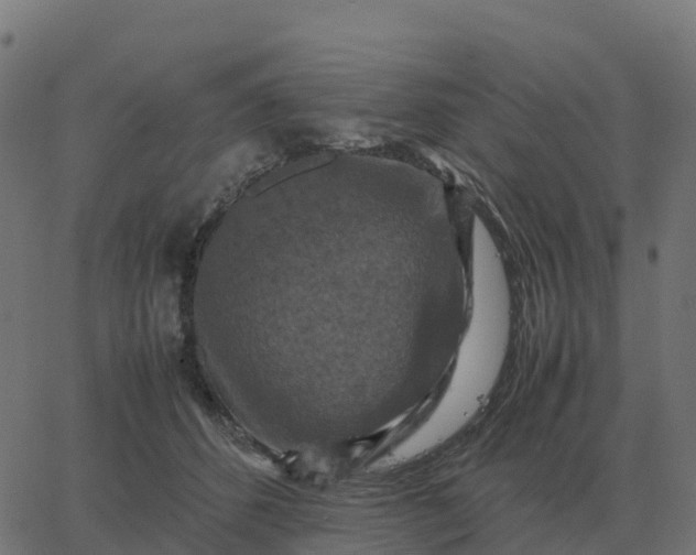 X0000067890512200604271830