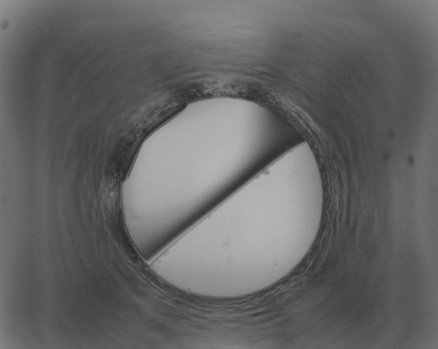 X0000067890513200604271830