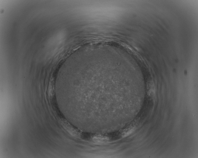 X0000067890515200604271830