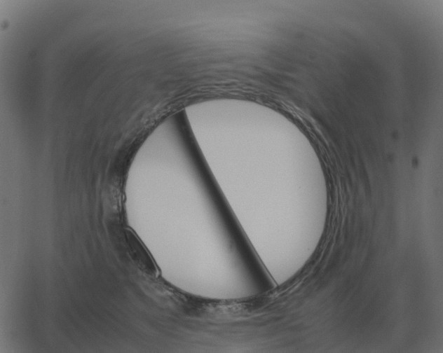 X0000067890517200604271830