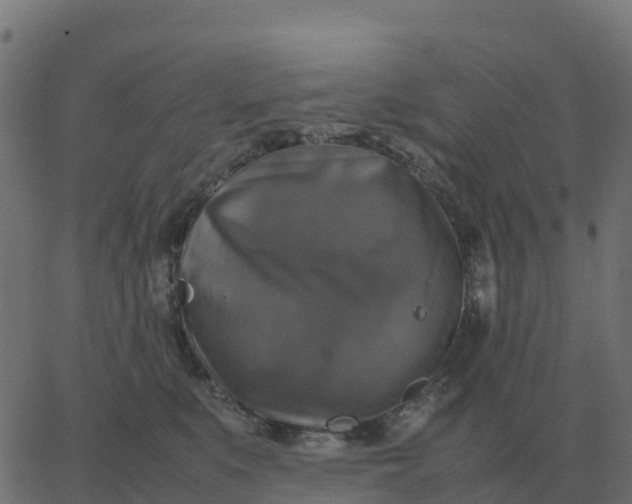 X0000067890519200604271830