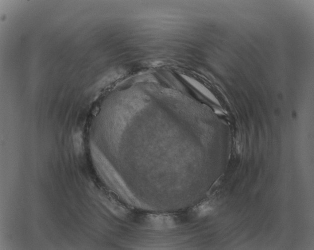 X0000067890520200604271830