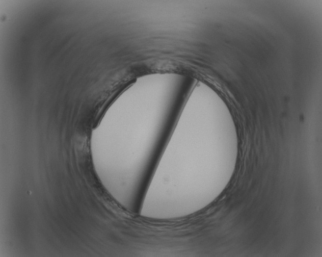 X0000067890521200604271830