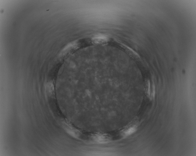 X0000067890523200604271830