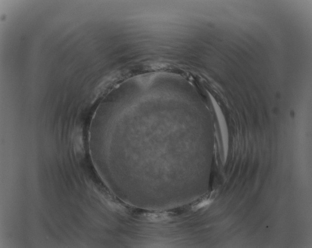 X0000067890524200604271830