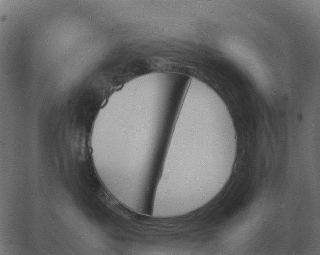 X0000067890525200604271830