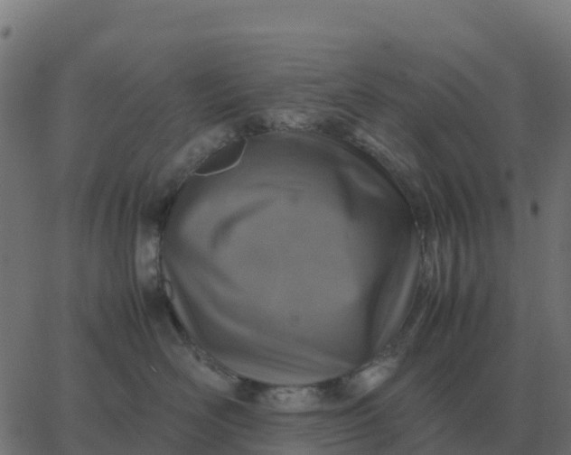 X0000067890526200604271830