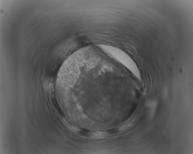 X0000067890527200604271829