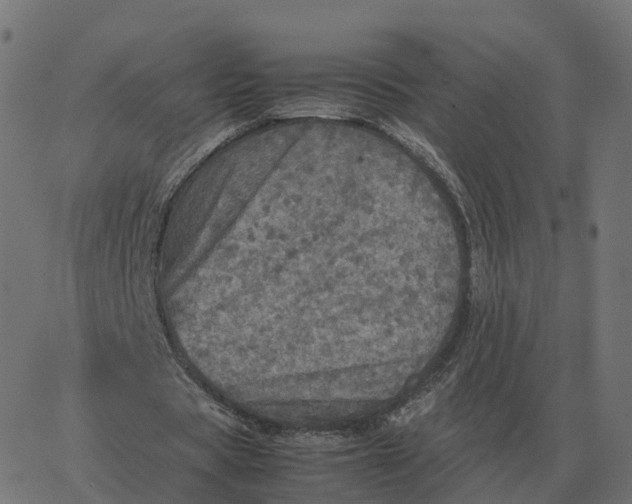 X0000067890529200604271829