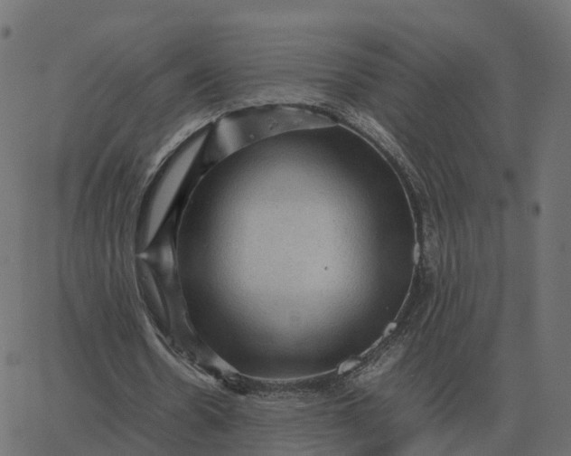 X0000067890530200604271829