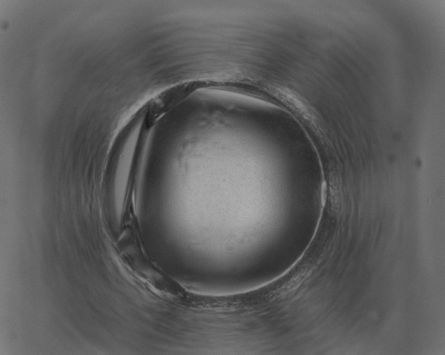 X0000067890532200604271829