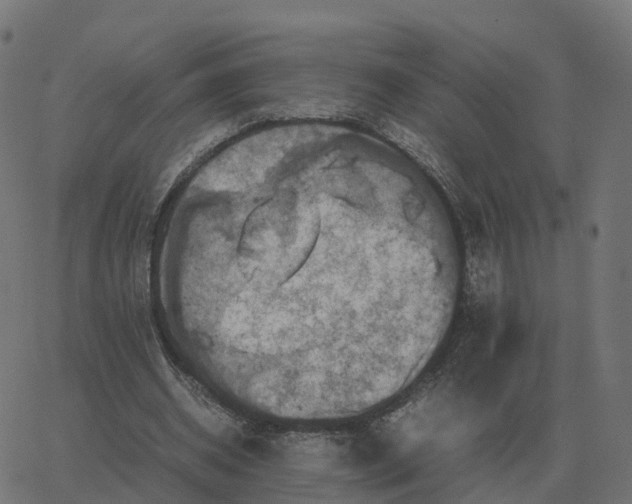 X0000067890534200604271829