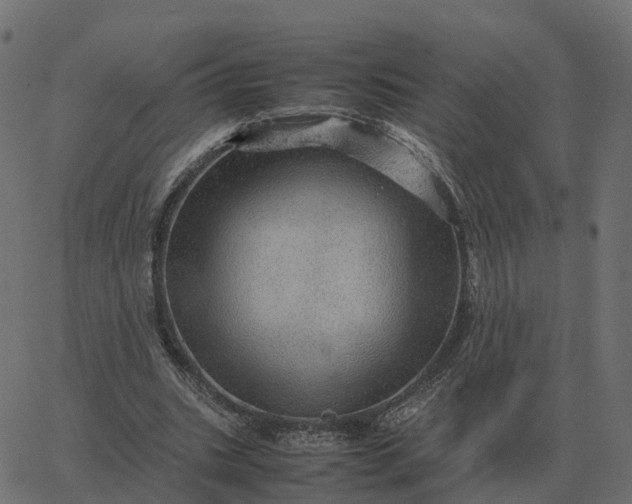 X0000067890535200604271829