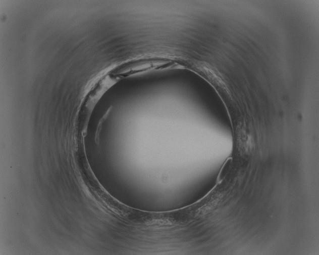 X0000067890536200604271829