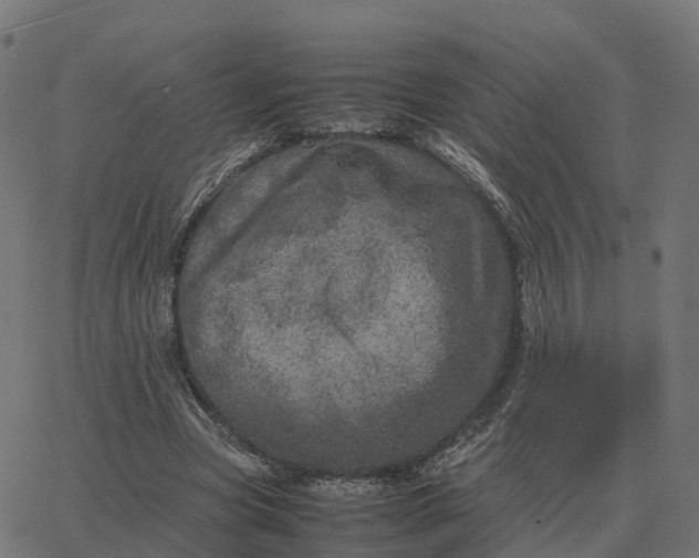 X0000067890537200604271829