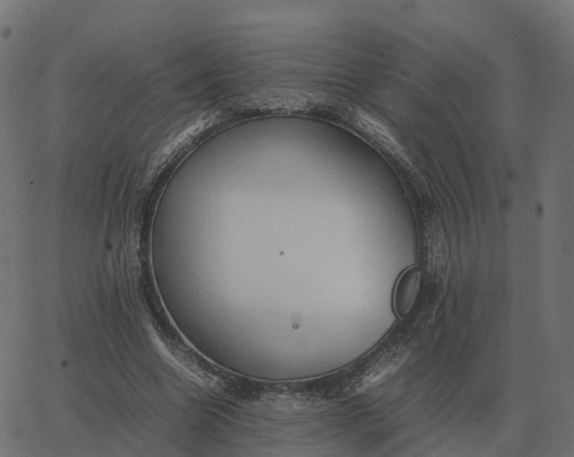 X0000067890538200604271829