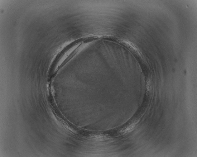 X0000067890540200604271829