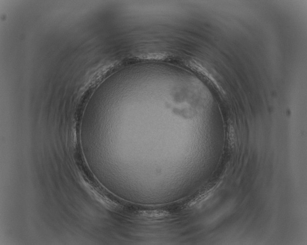 X0000067890541200604271829