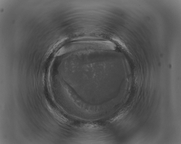 X0000067890542200604271829