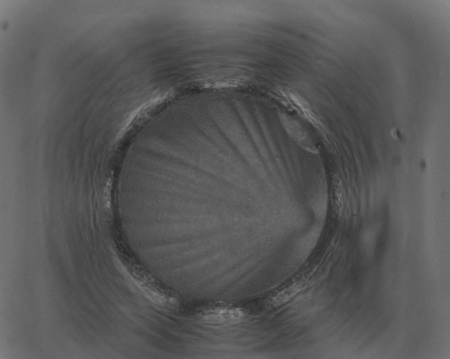 X0000067890543200604271829