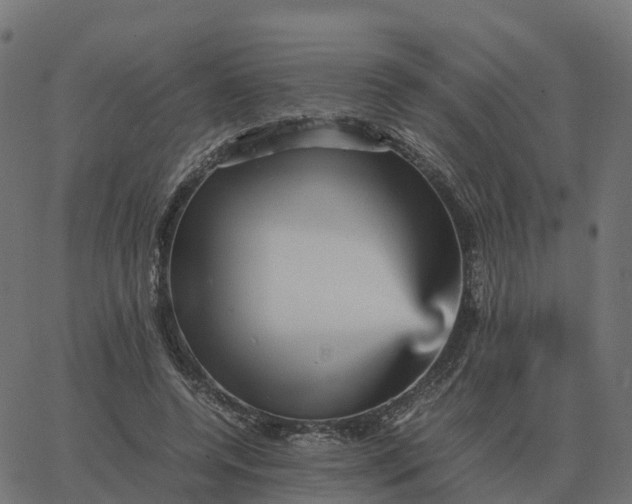 X0000067890544200604271829