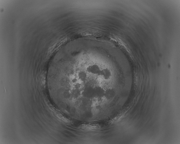 X0000067890545200604271829