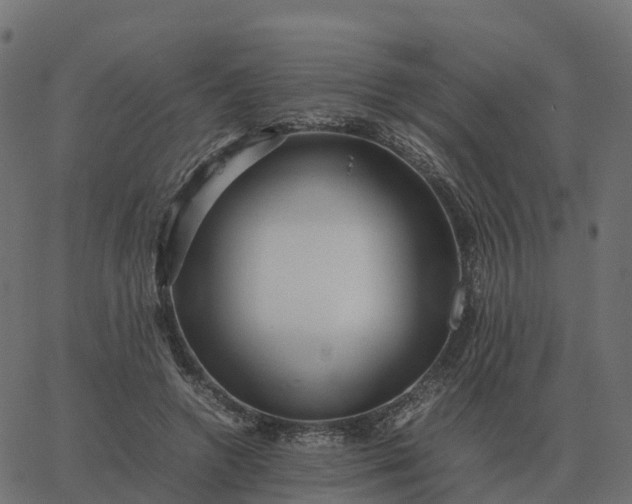 X0000067890546200604271829