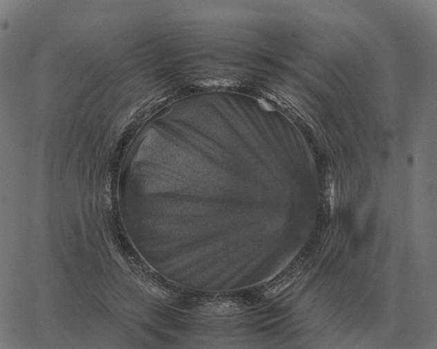 X0000067890547200604271829