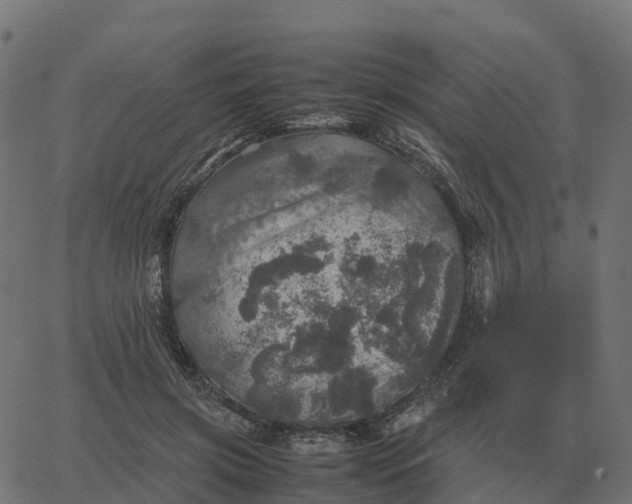 X0000067890549200604271829