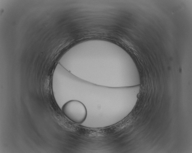 X0000067890550200604271829