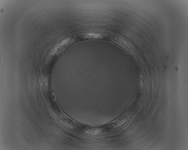 X0000067890551200604271829