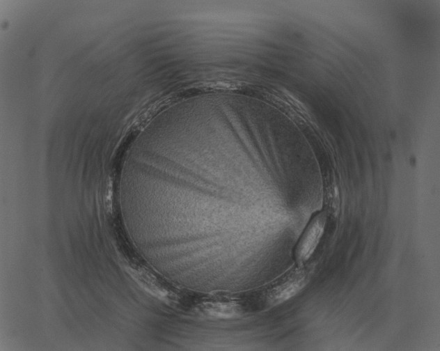 X0000067890552200604271829