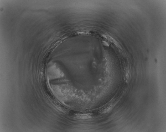 X0000067890553200604271829