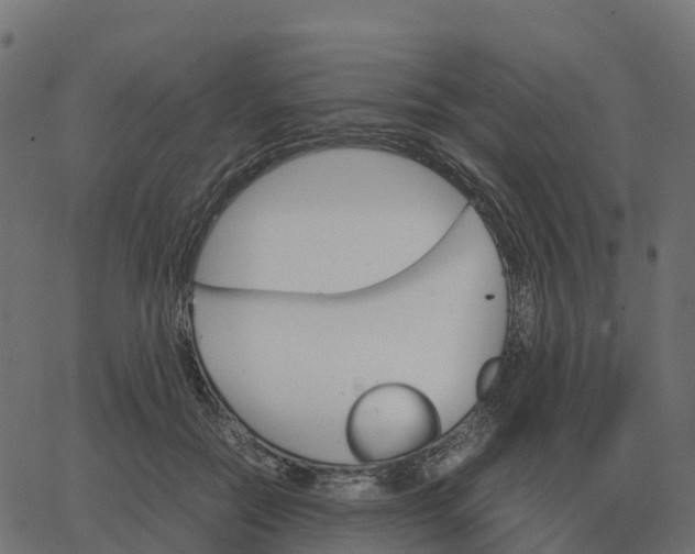 X0000067890554200604271829