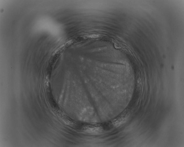 X0000067890555200604271829