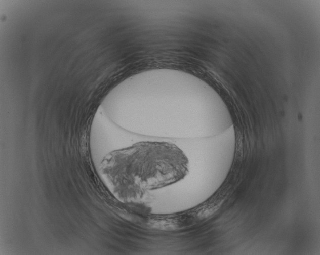 X0000067890557200604271829