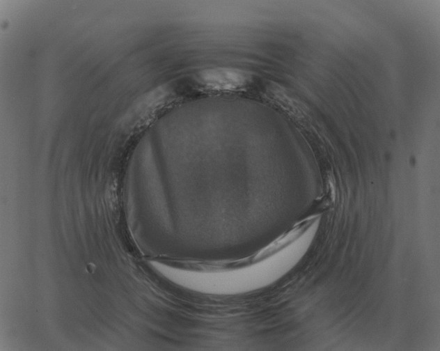 X0000067890559200604271829