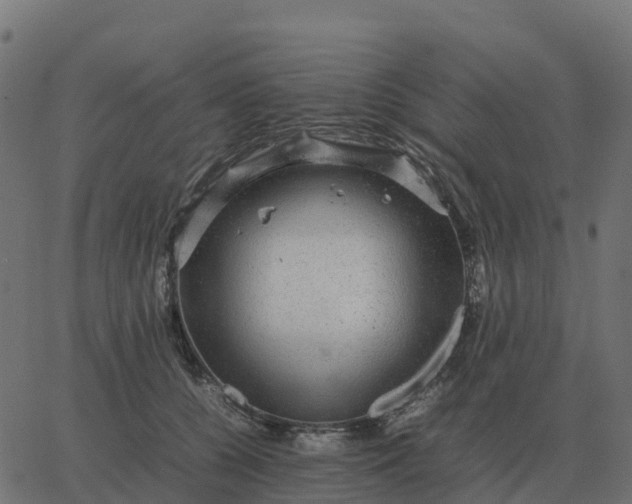 X0000067890560200604271829