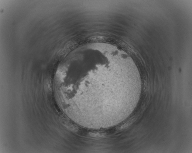 X0000067890561200604271829