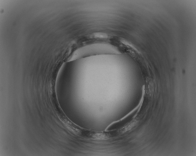 X0000067890562200604271829